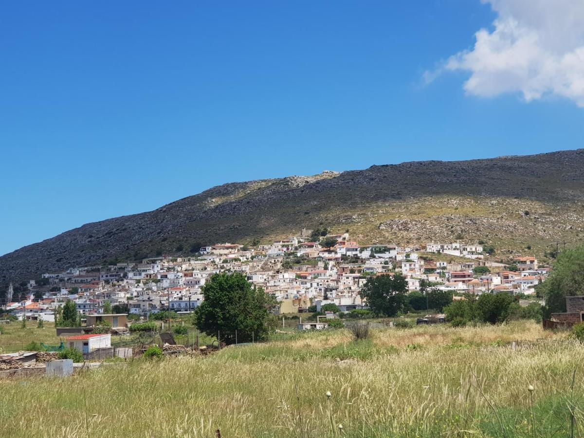 Villa Daniela & Apartments Κουτσουνάρι Εξωτερικό φωτογραφία