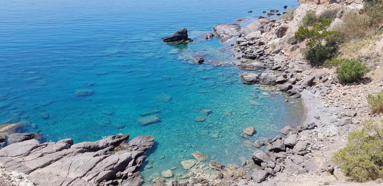 Villa Daniela & Apartments Κουτσουνάρι Εξωτερικό φωτογραφία